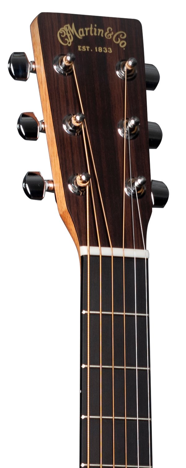 Martin D-10E Guitar